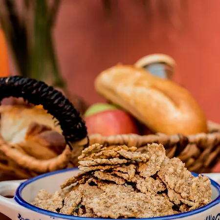 فندق مبيت وإفطار Mascot Garden